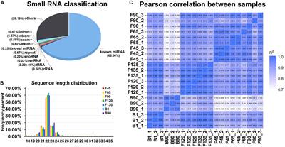 RNA-Seq Reveals miRNA Role Shifts in Seven Stages of Skeletal Muscles in Goat Fetuses and Kids